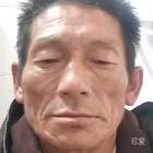 落單的候鳥(niǎo)
