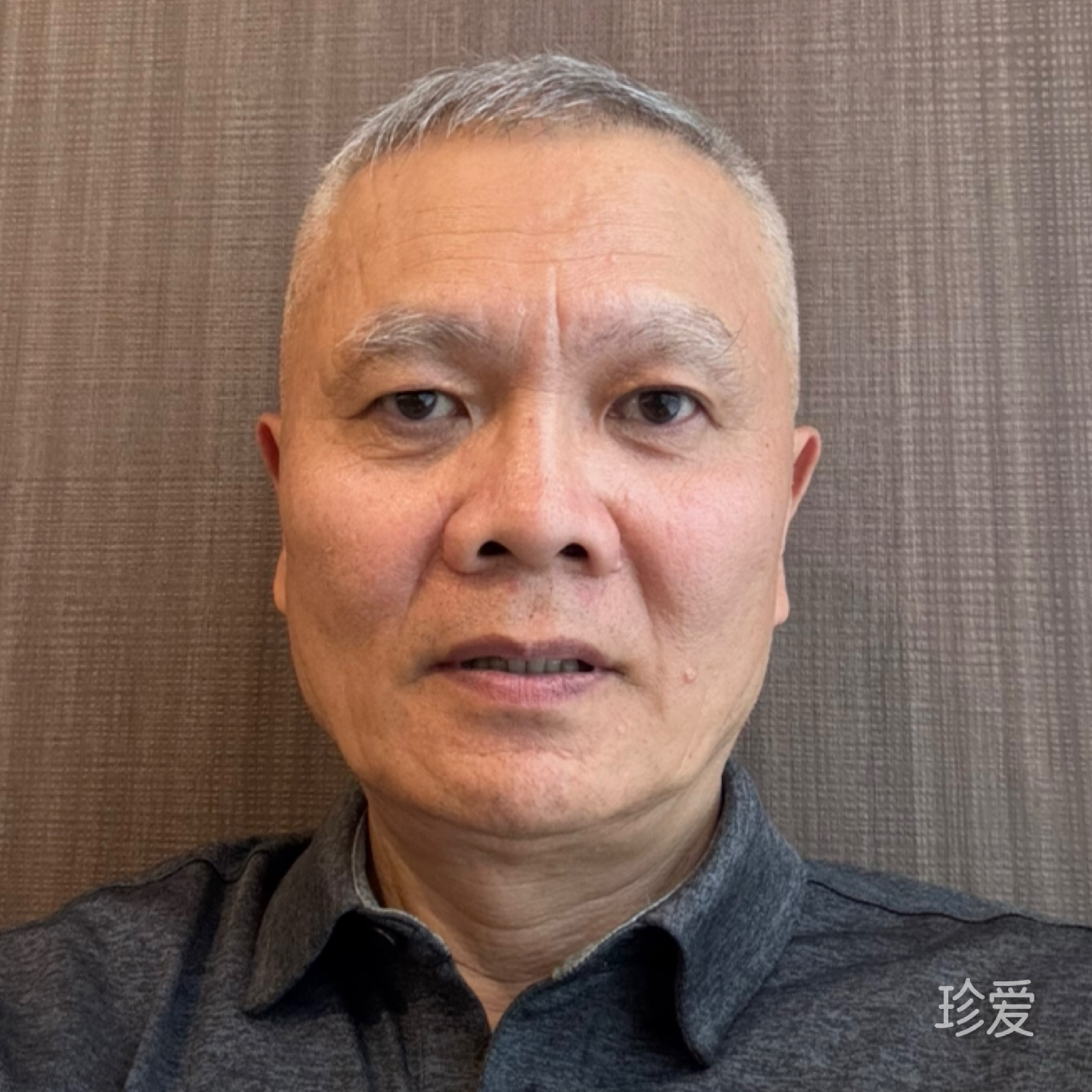 那棵树