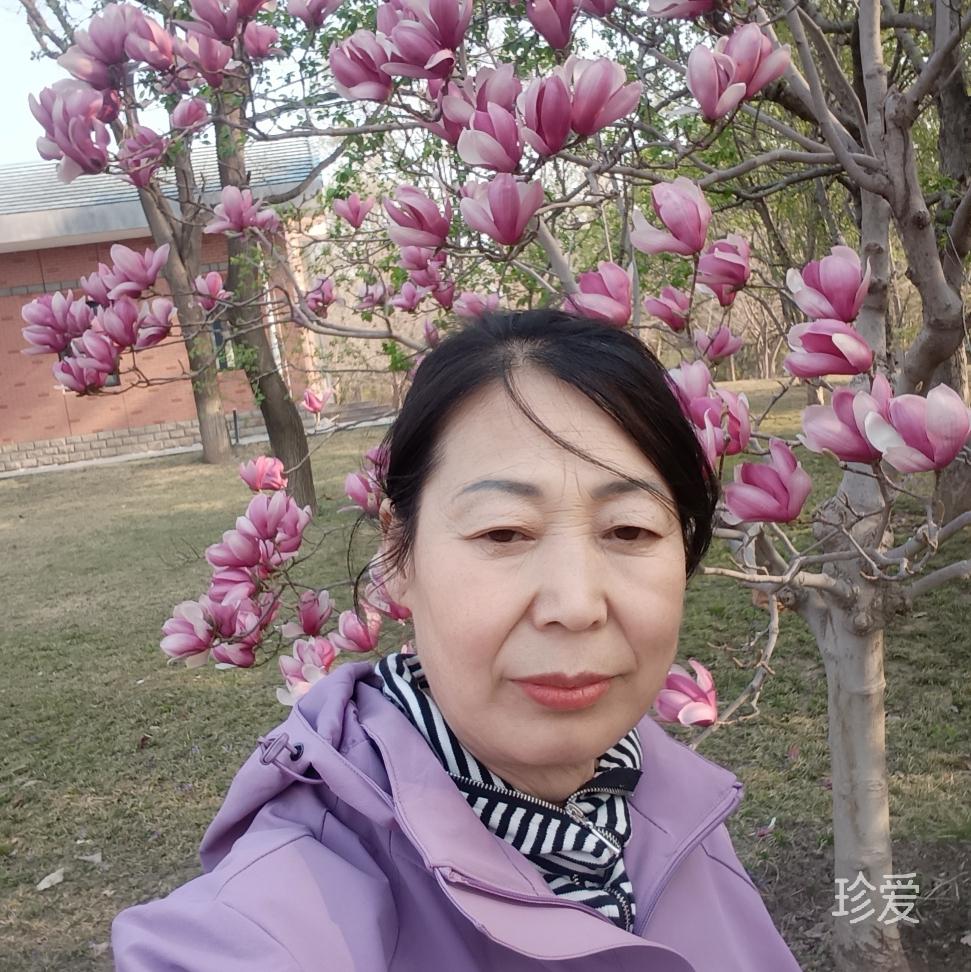 寻爱的翅膀