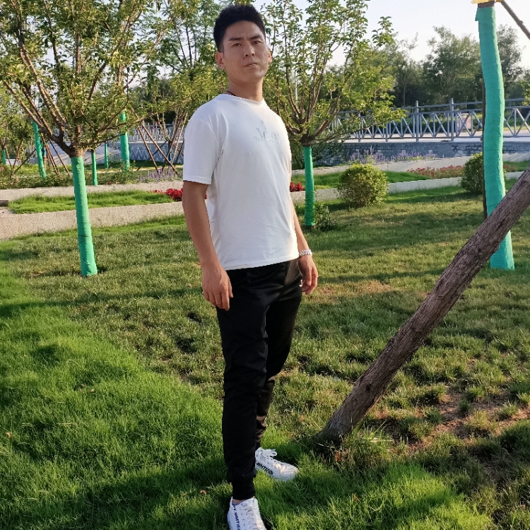 昨夜星辰恰似你