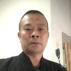 一抹橄榄绿
