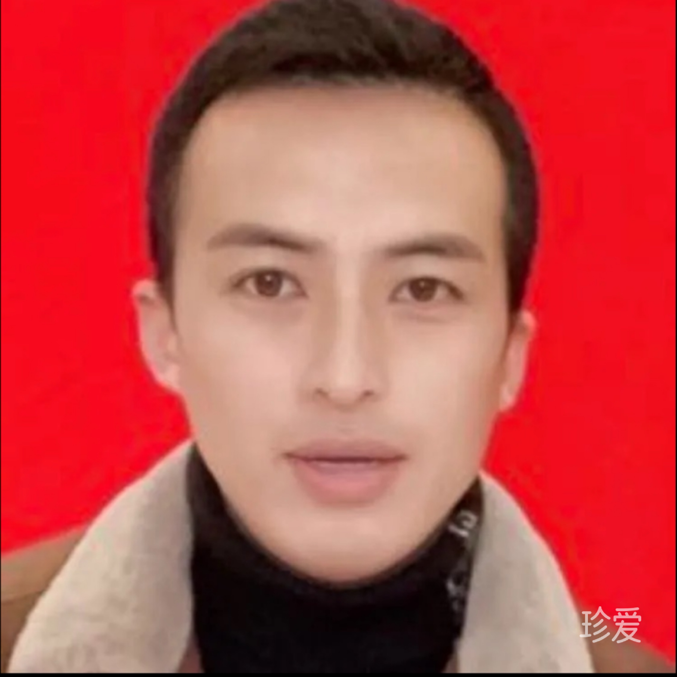 冬天的一片绿叶
