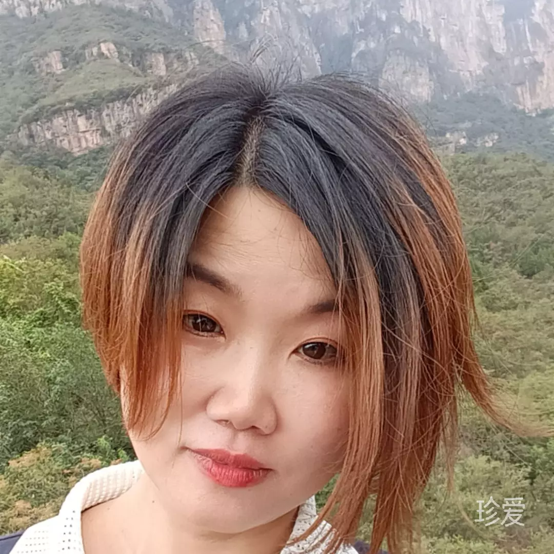 茶的世界