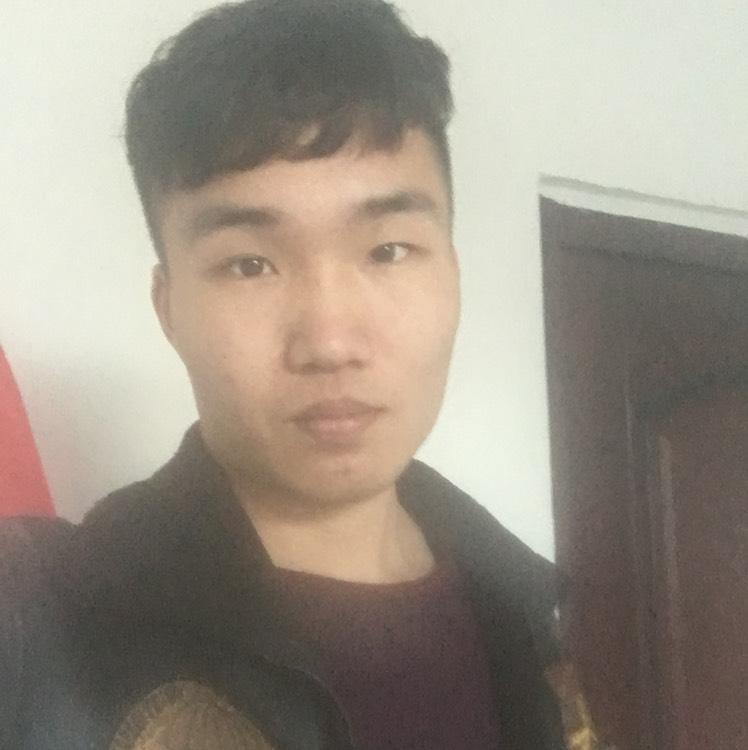 小鲁哥