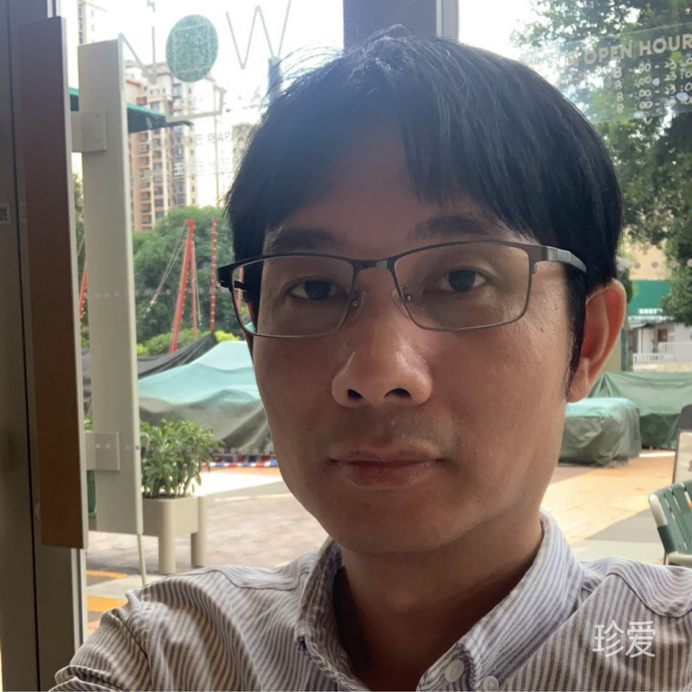 坤纹掌