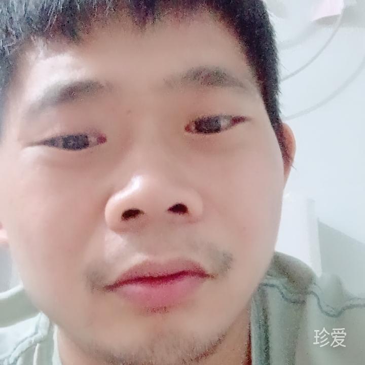 风的寂寞
