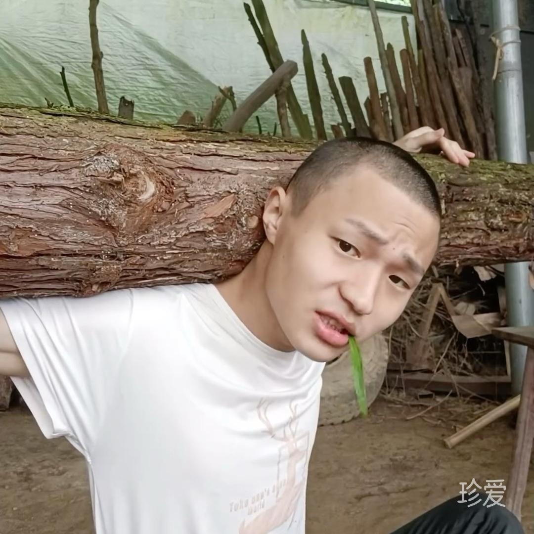 狂龙飞舞