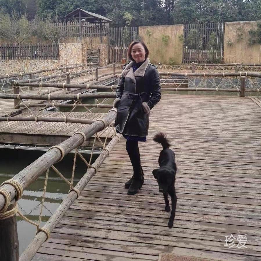 炎炎