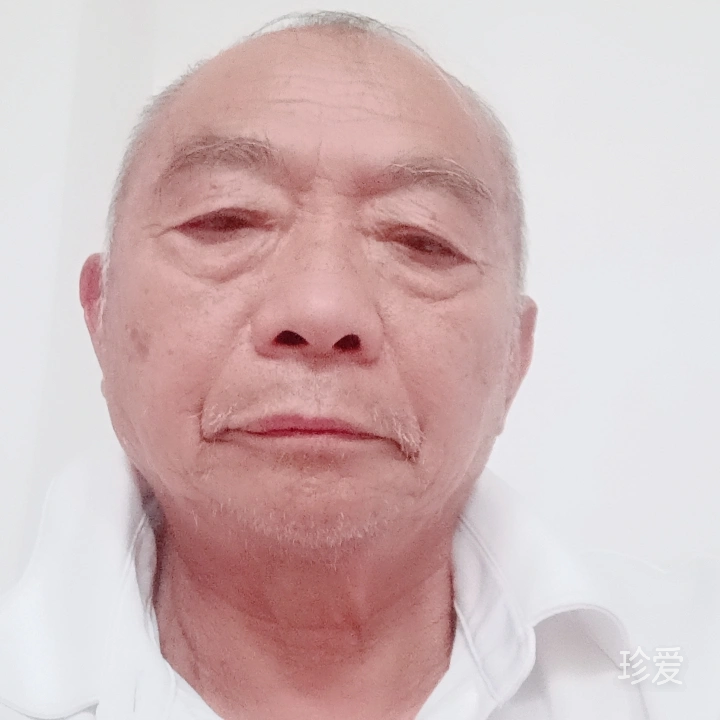向上游的鱼