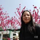 溫柔的風(fēng)兒