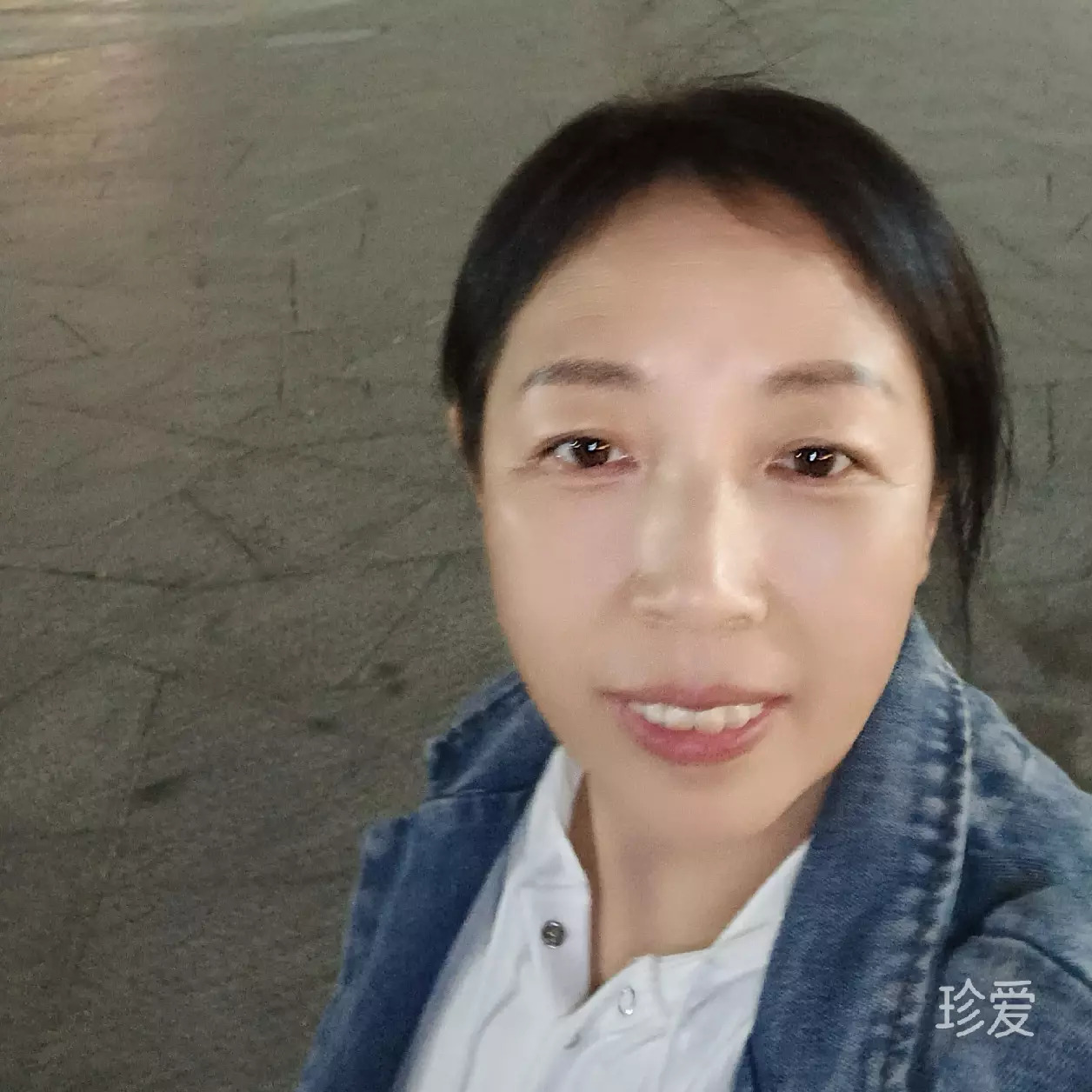 紫冰蝶