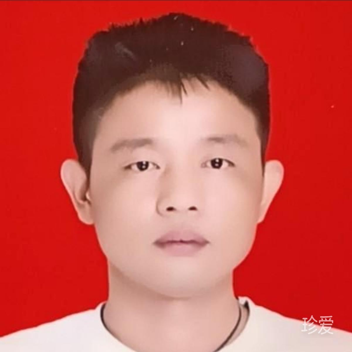 小草被风吹