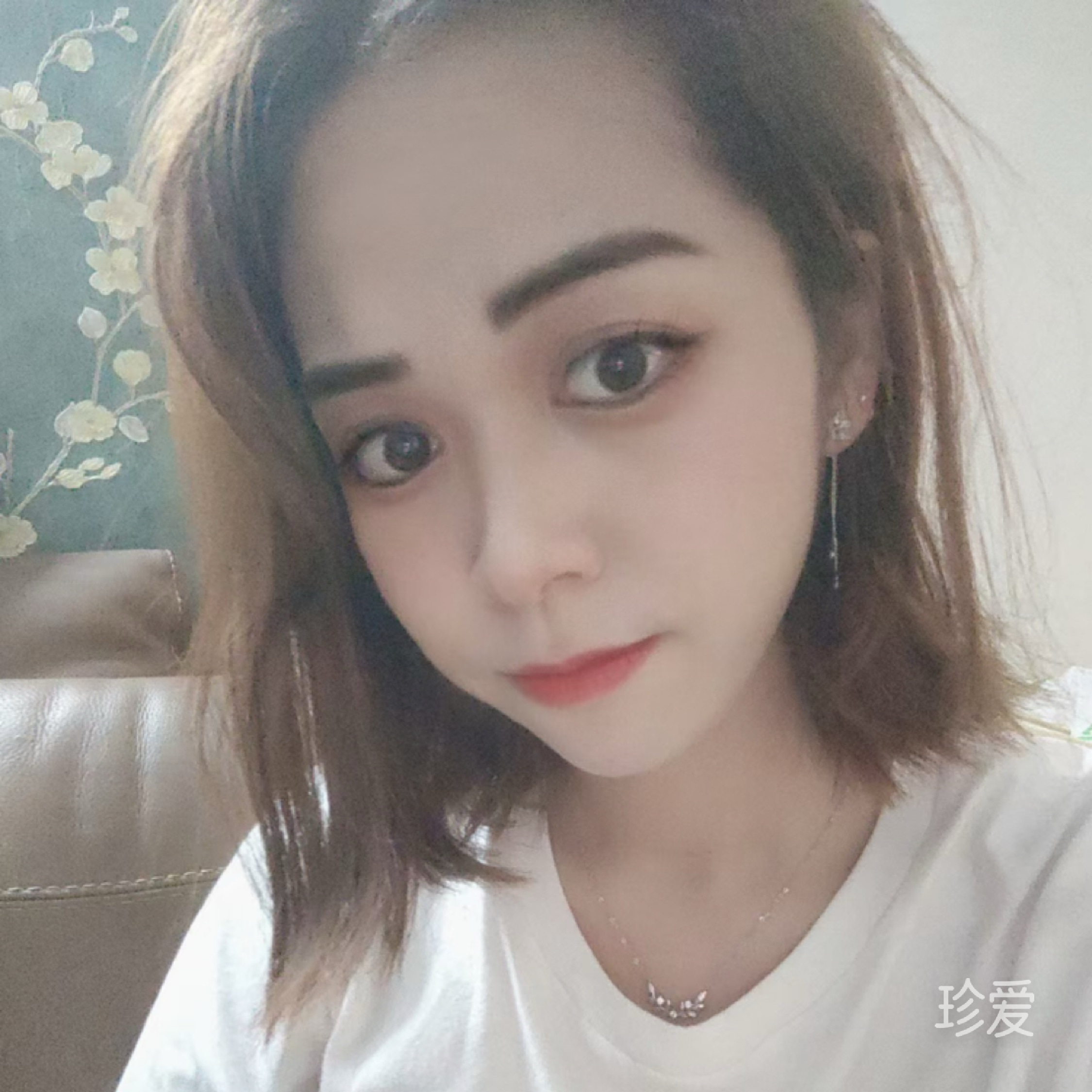 一片土地
