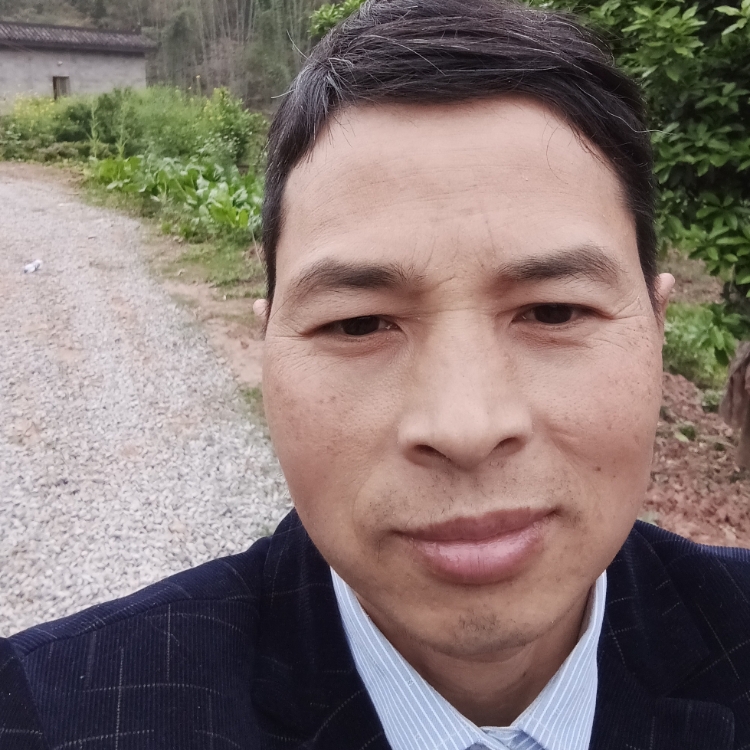 紅塵如夢王正華