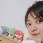普通的團(tuán)團(tuán)