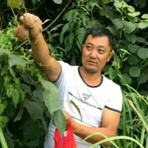 多情總被無情傷