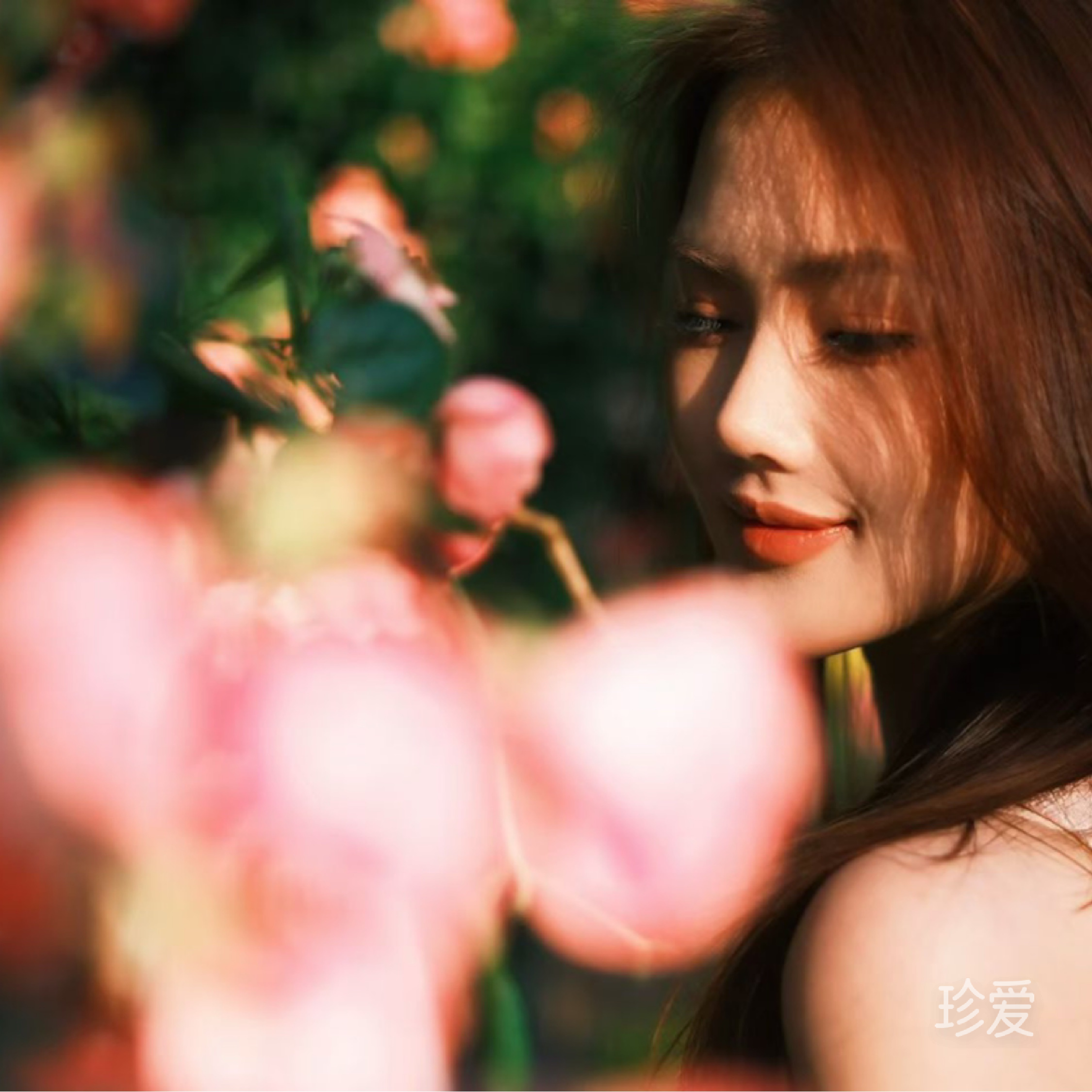 会会子