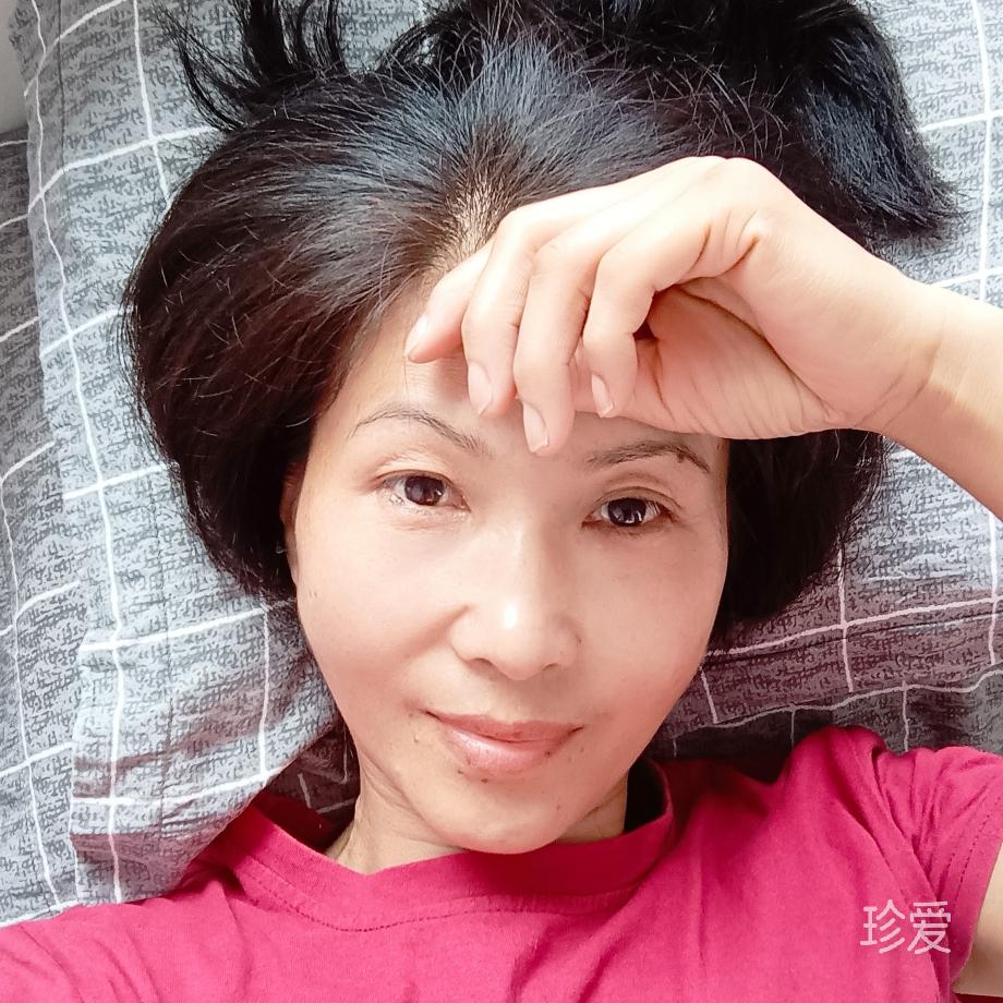 春天羊儿