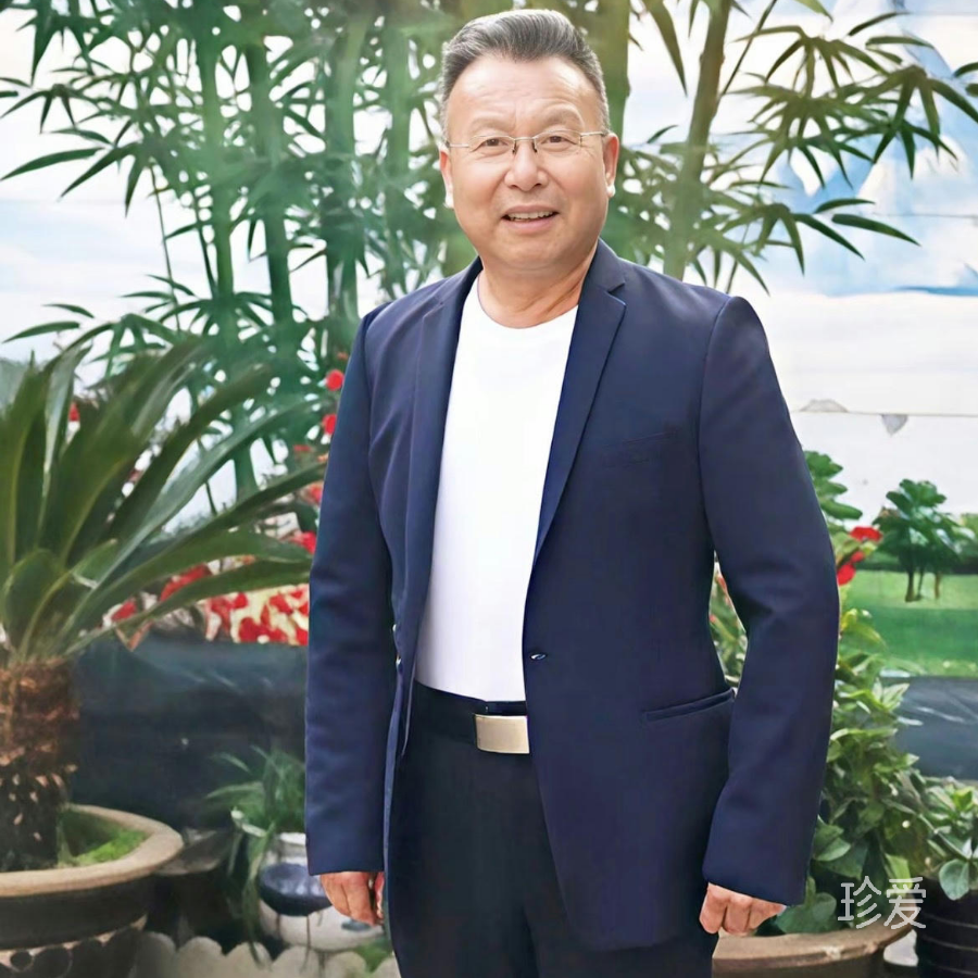 鹄鹰穿霄