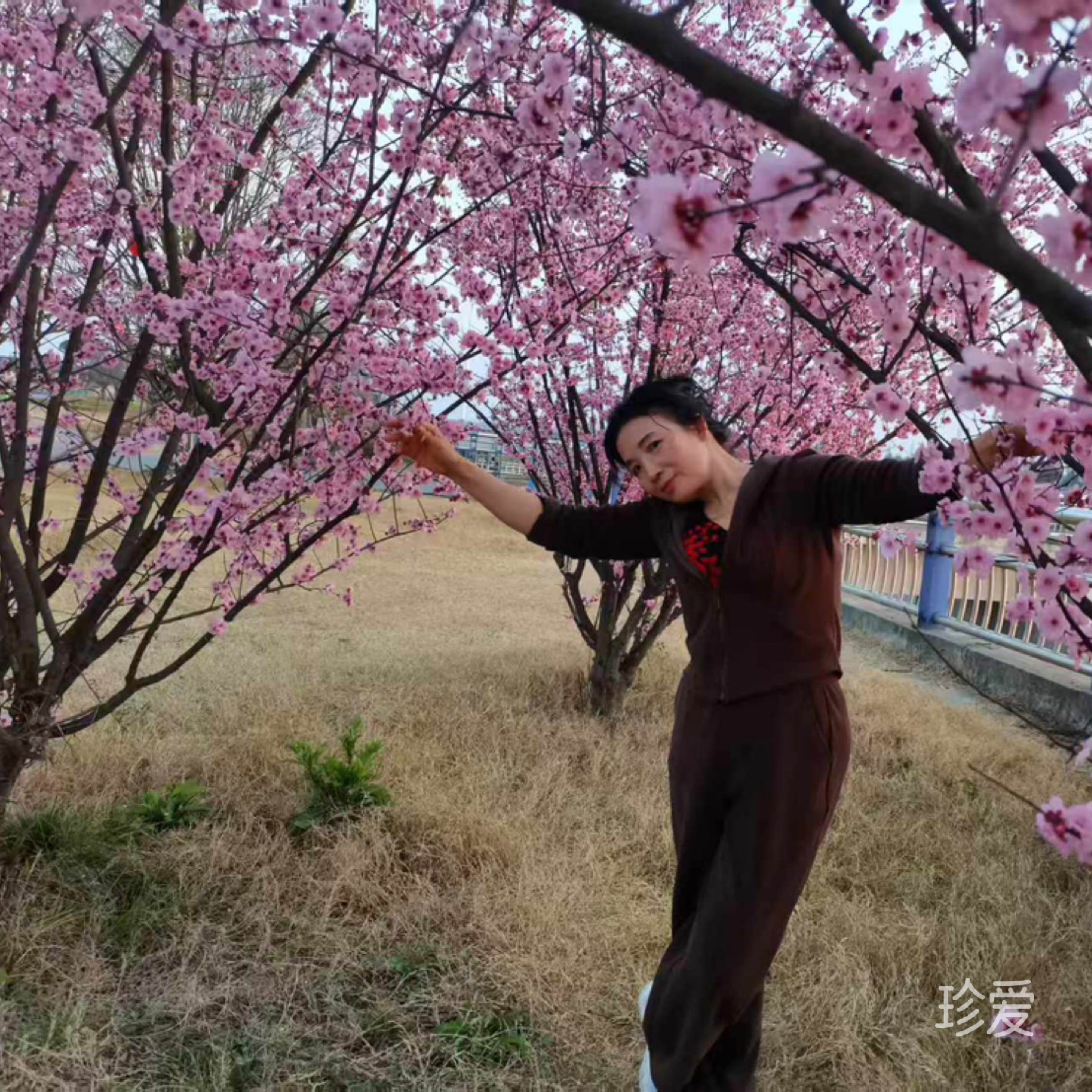 木糖醇