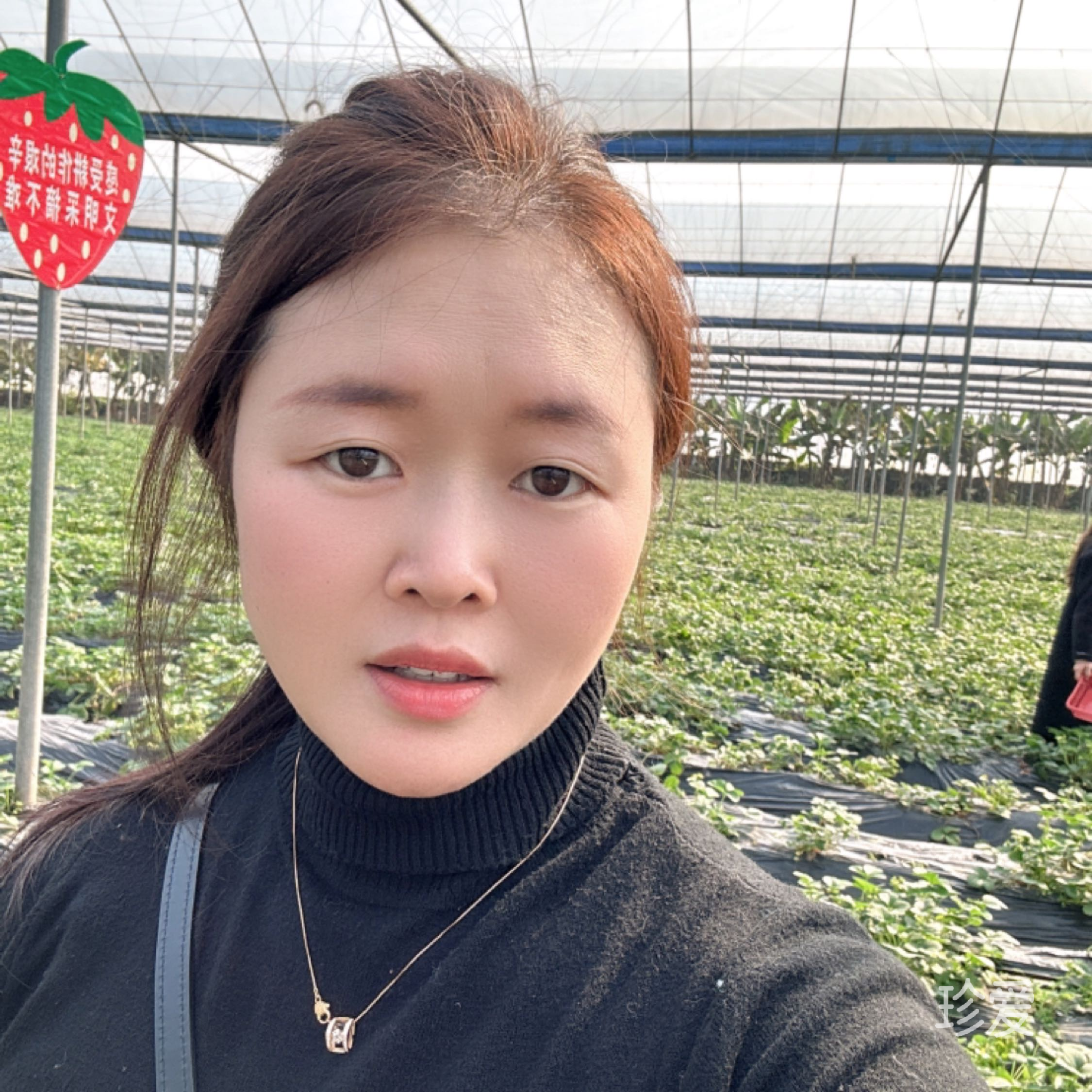 沉默的羔羊