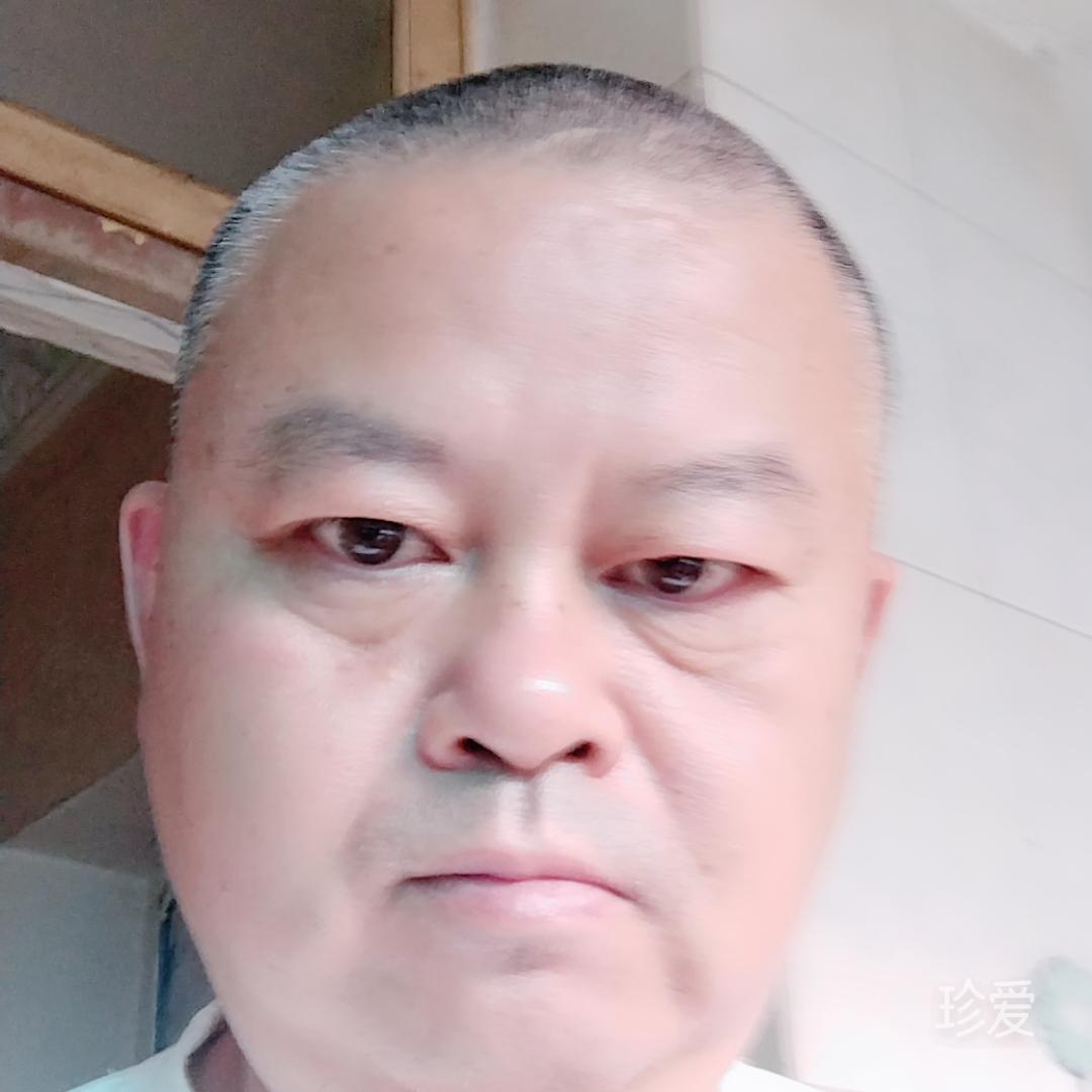 不吃鱼的猫