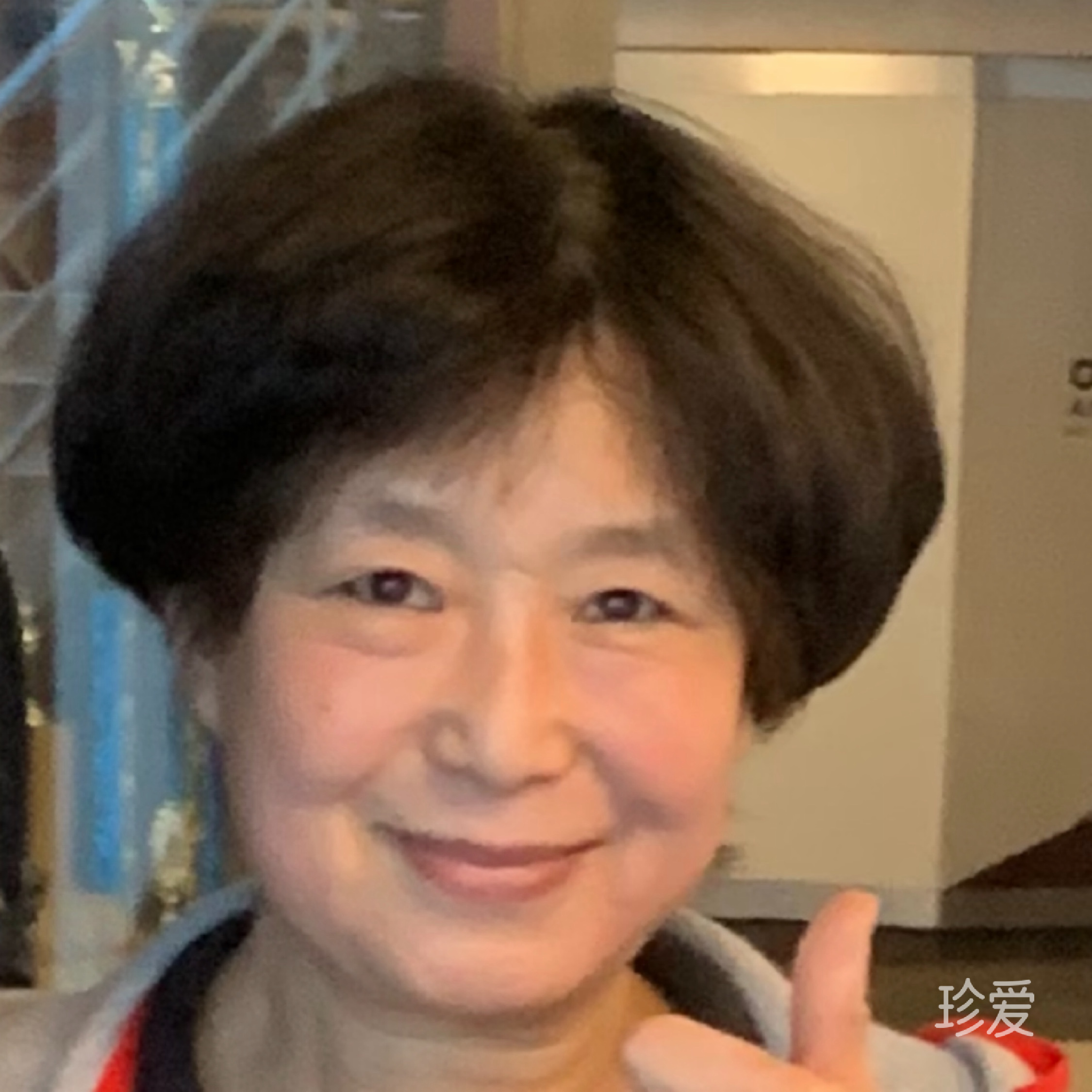 珍汐