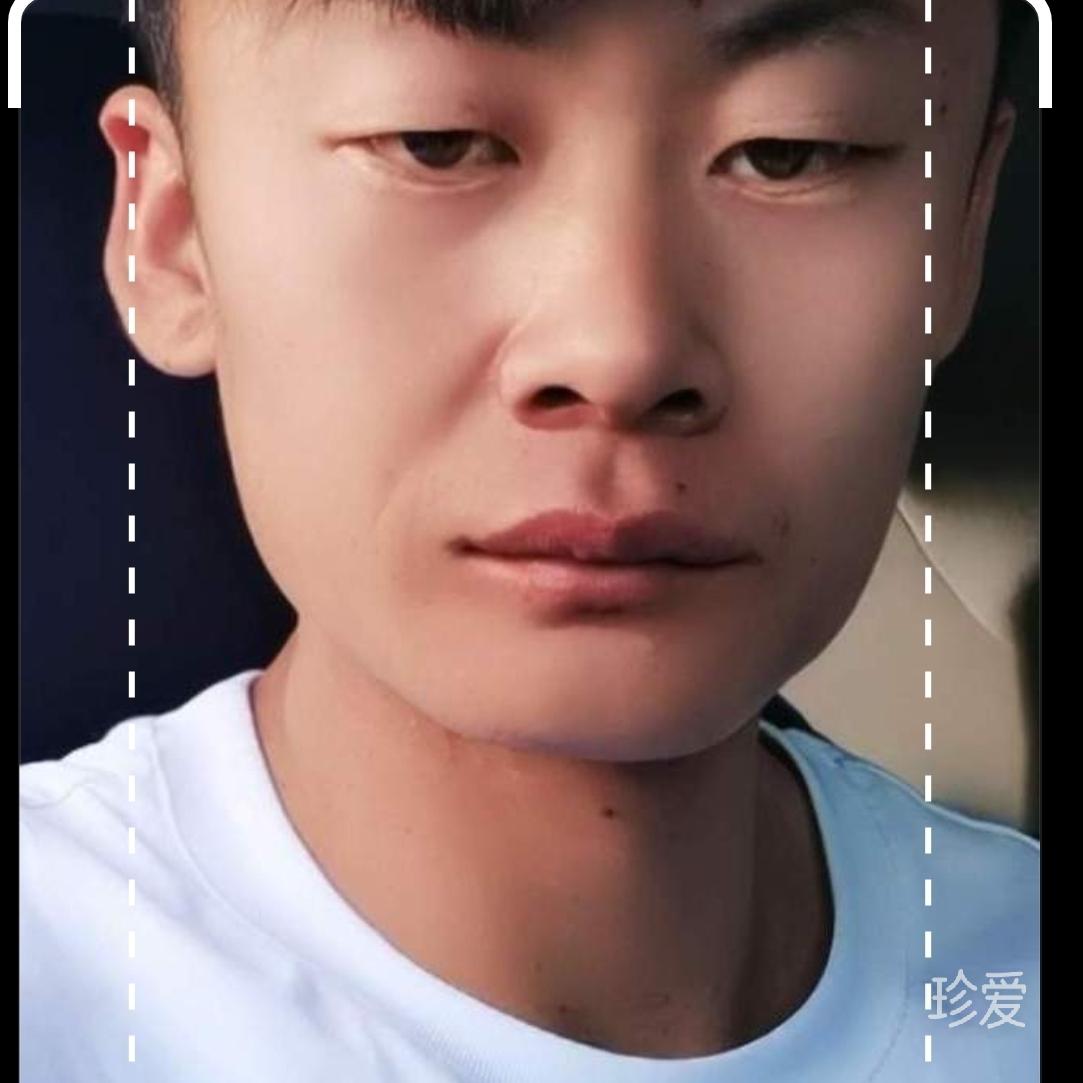 和你一起飞翔