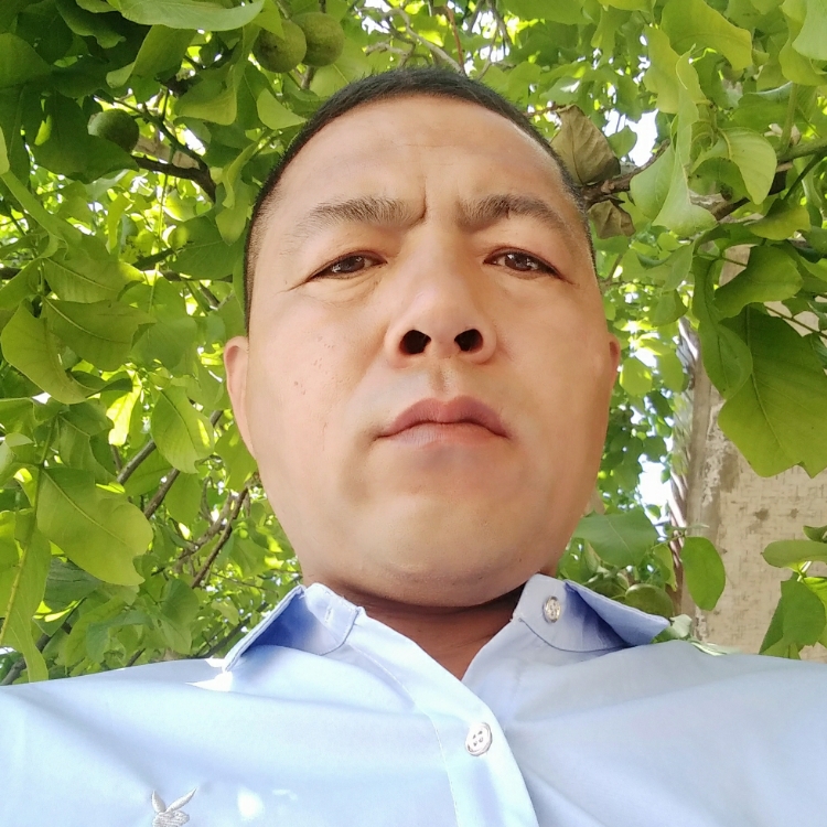 我想要一個(gè)家hj