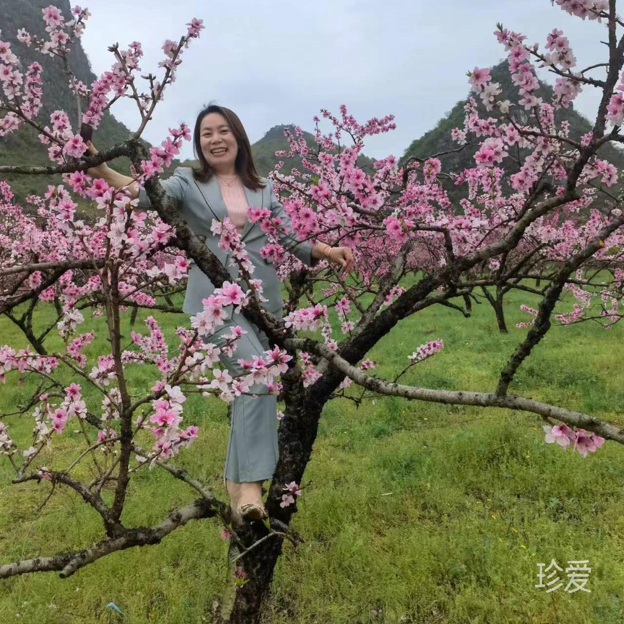 我想有個(gè)溫暖的家