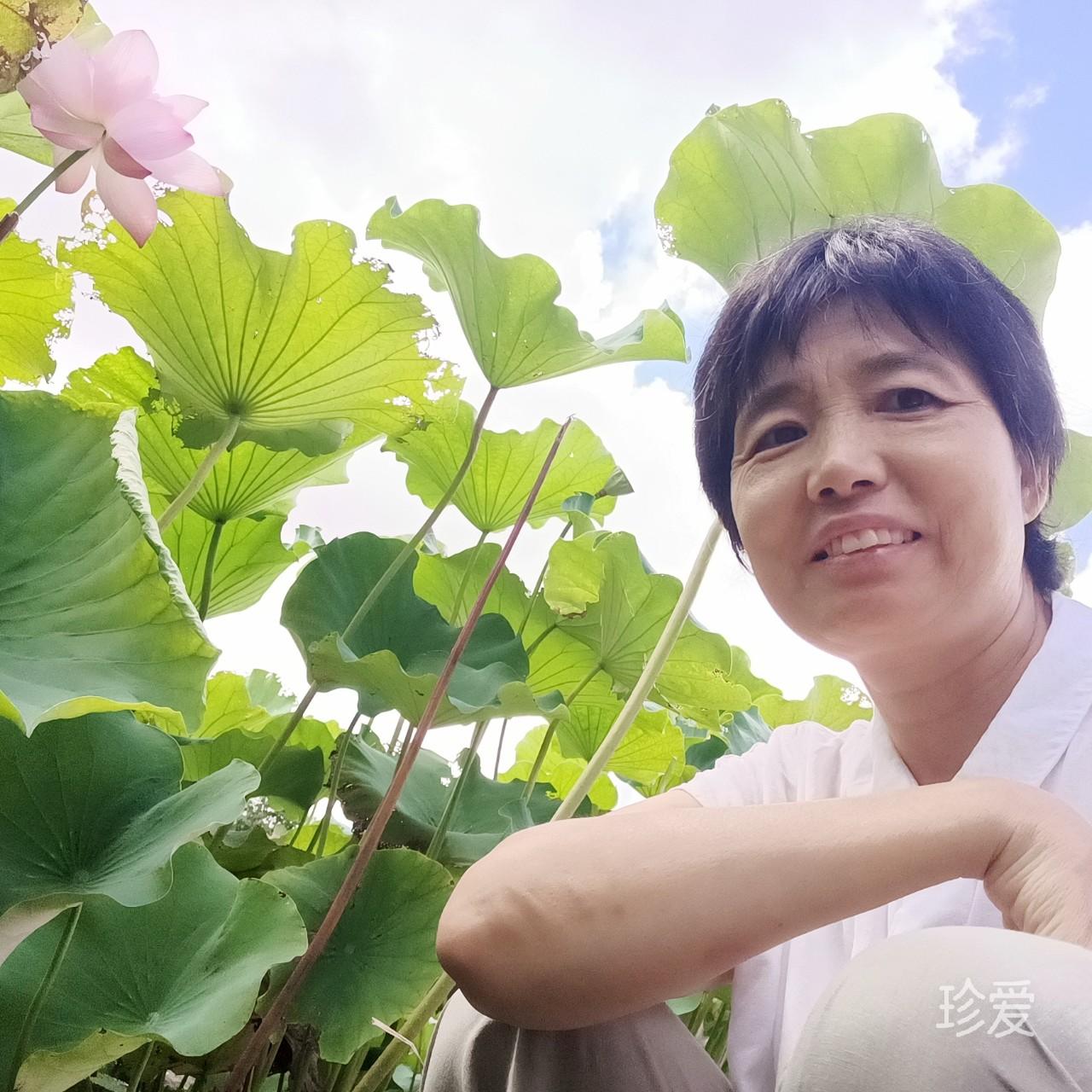 见鹿