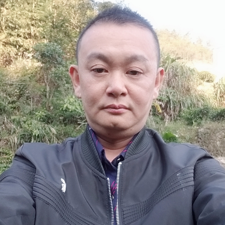 陈海平