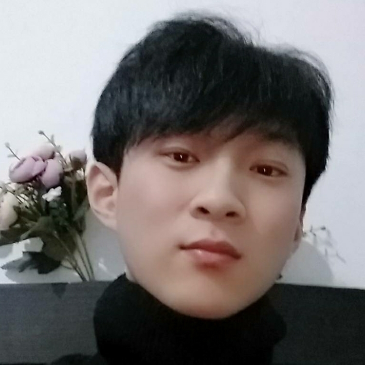 穿過(guò)樹(shù)叢的陽(yáng)光