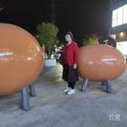 觀海見(jiàn)鷗