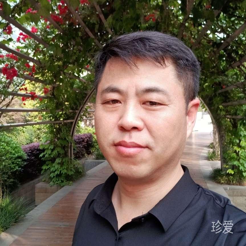 白龙马