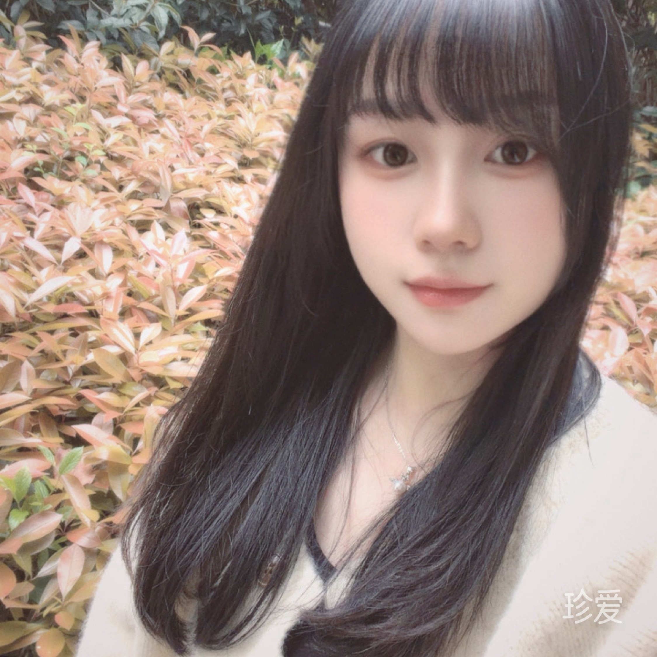 爱我的人在哪