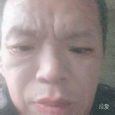 我是鹰