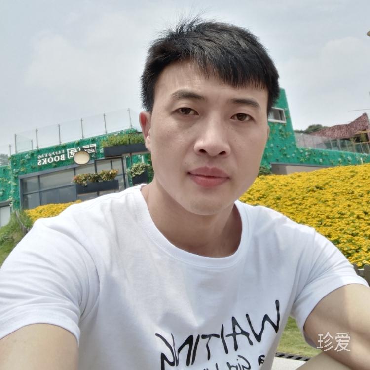 真心找真情