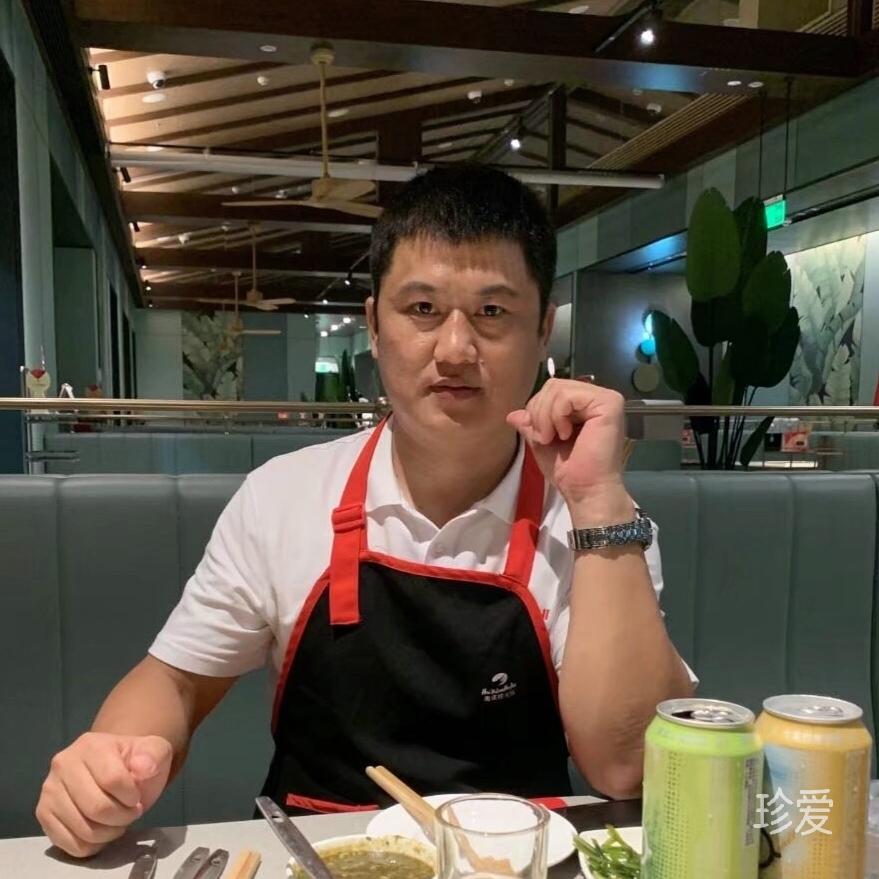 雁南飞
