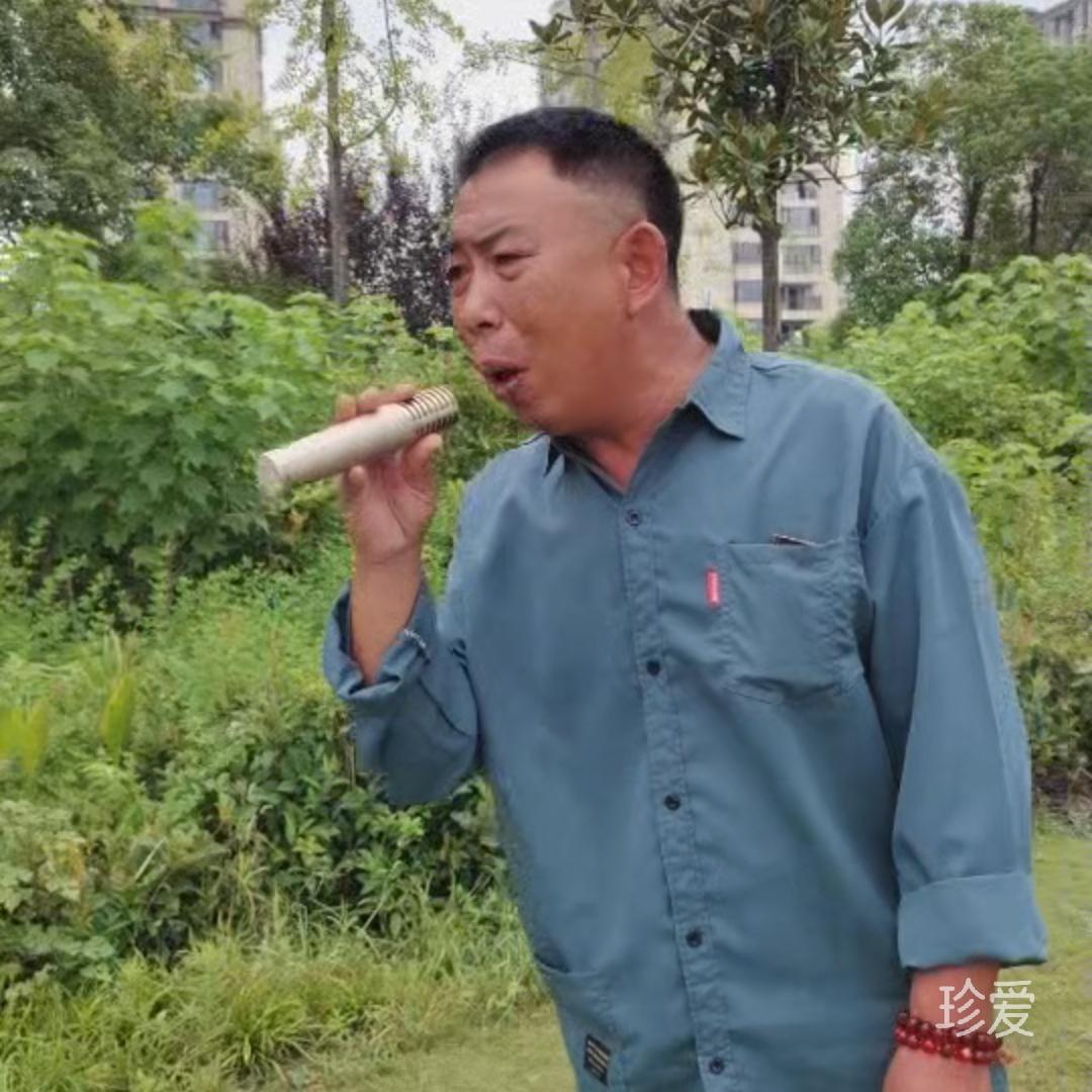 心甘情愿爱幸福