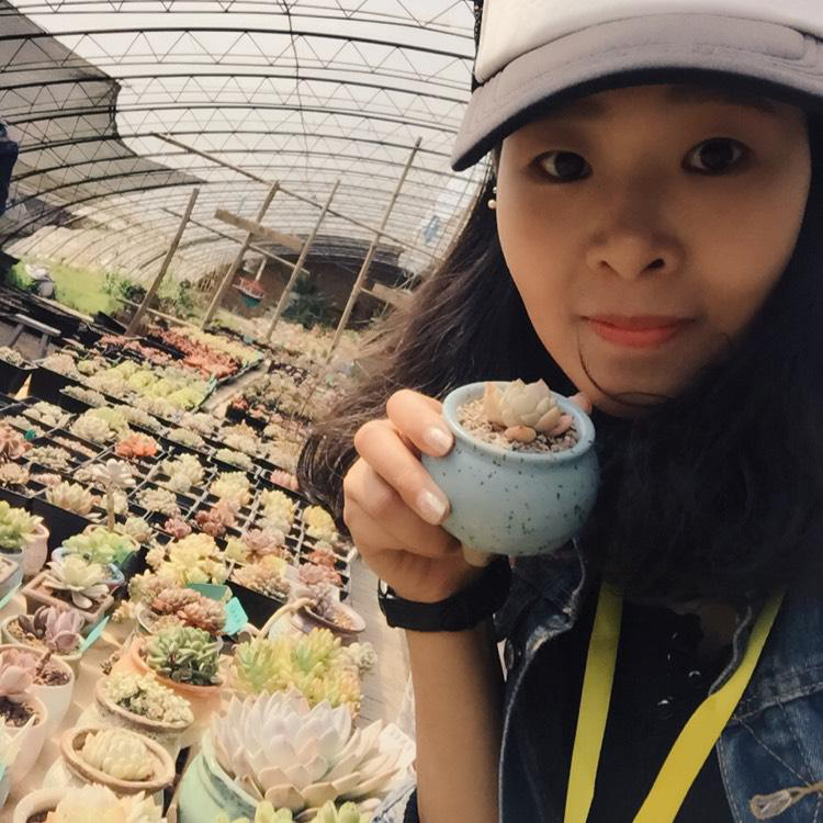 莎莎