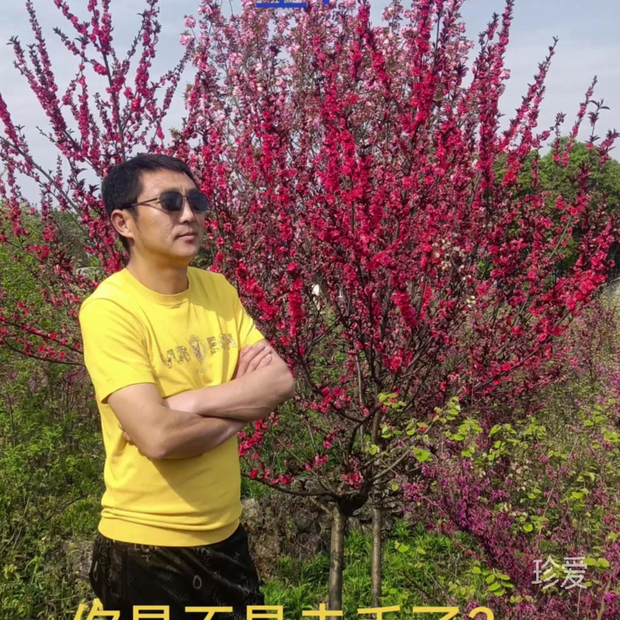 相信哥