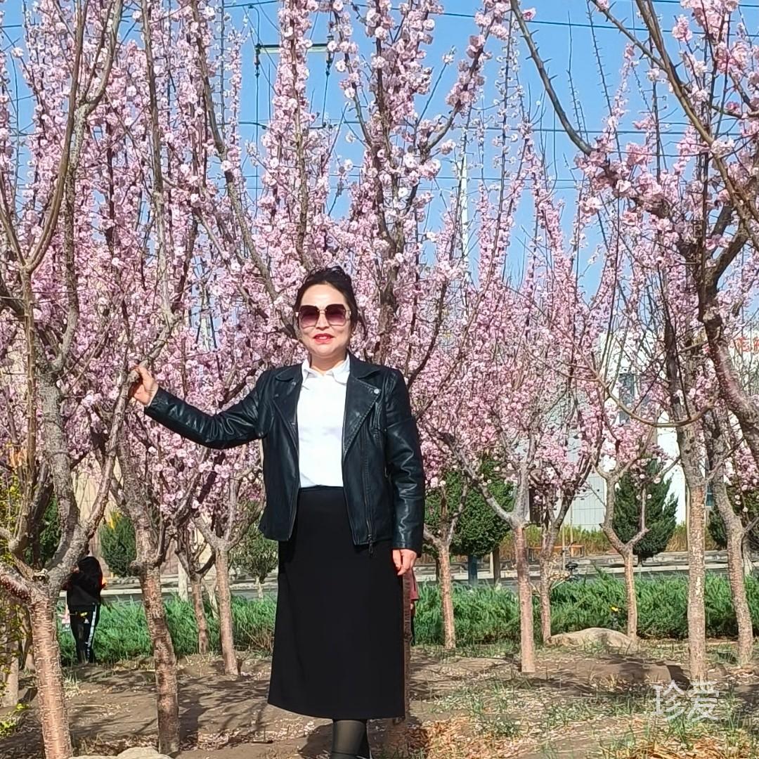 渴望完美