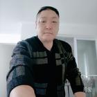 懶螞蟻