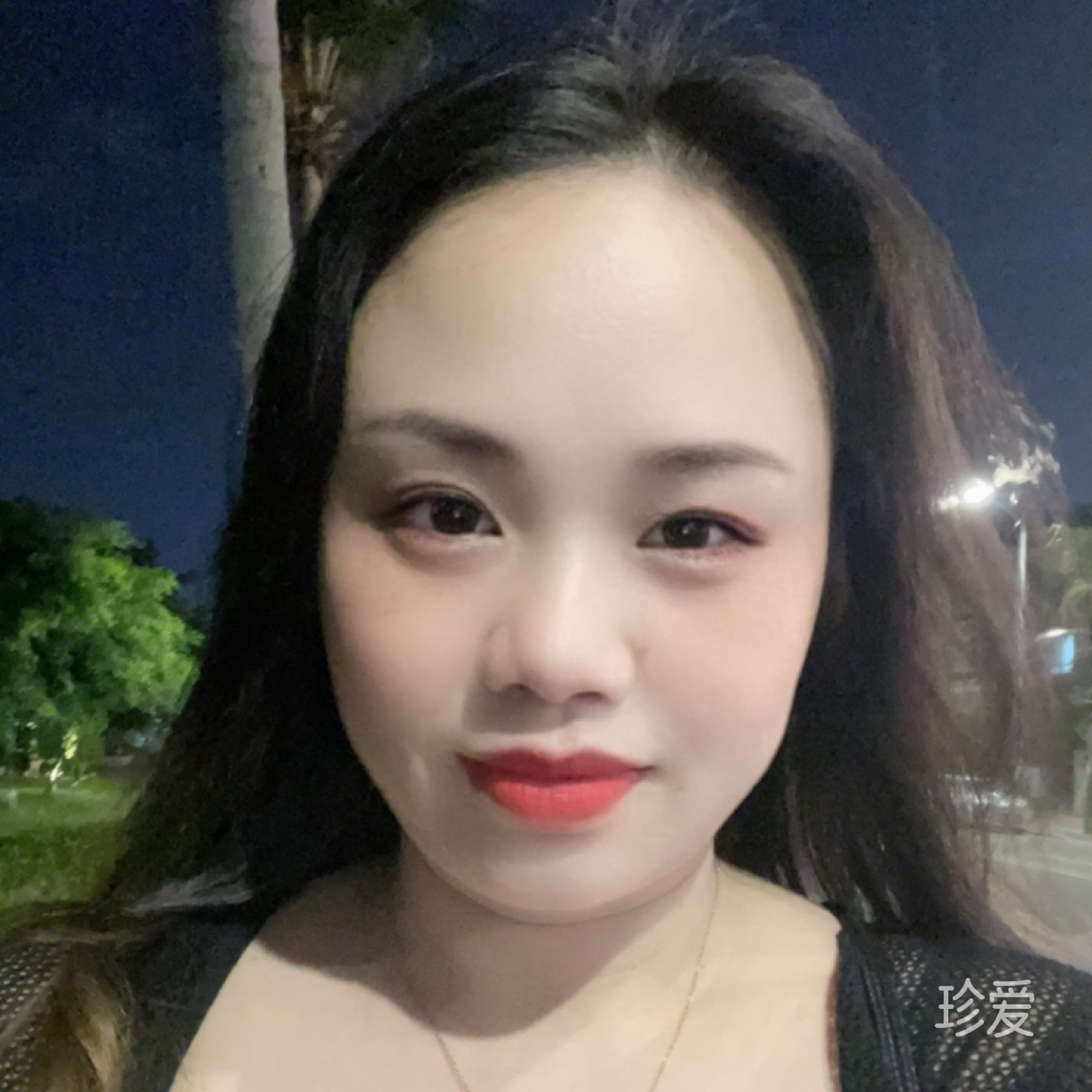 琼枝玉树
