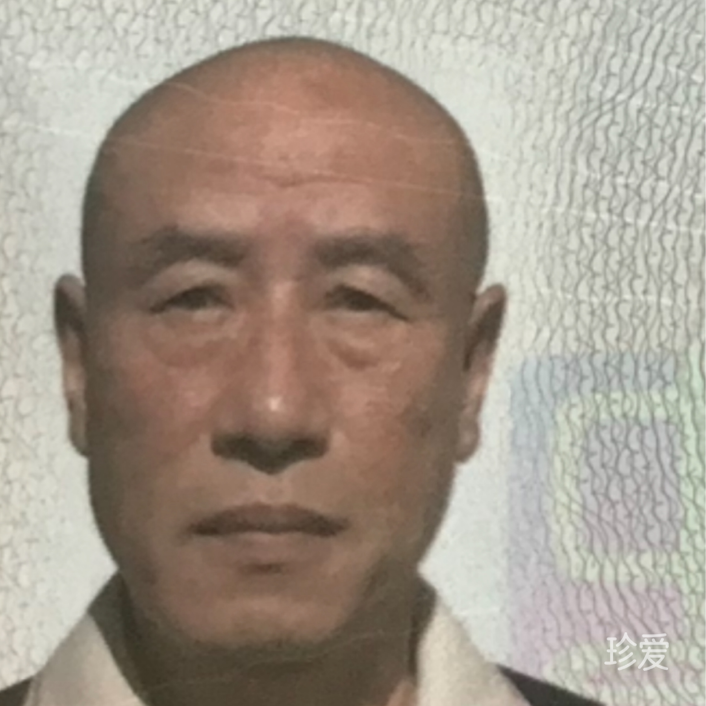 秋雨梧桐
