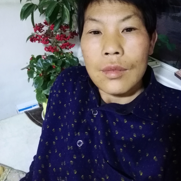 我想有個(gè)家