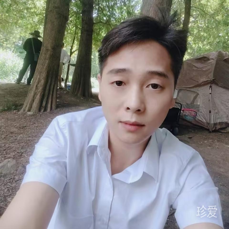 高飞的候鸟