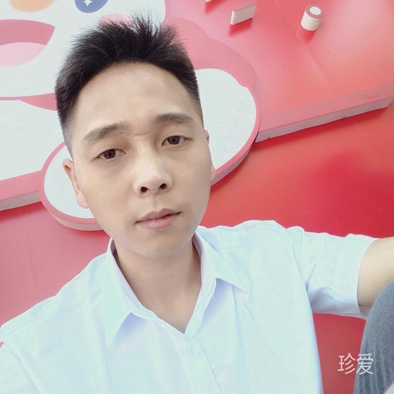 高飞的候鸟