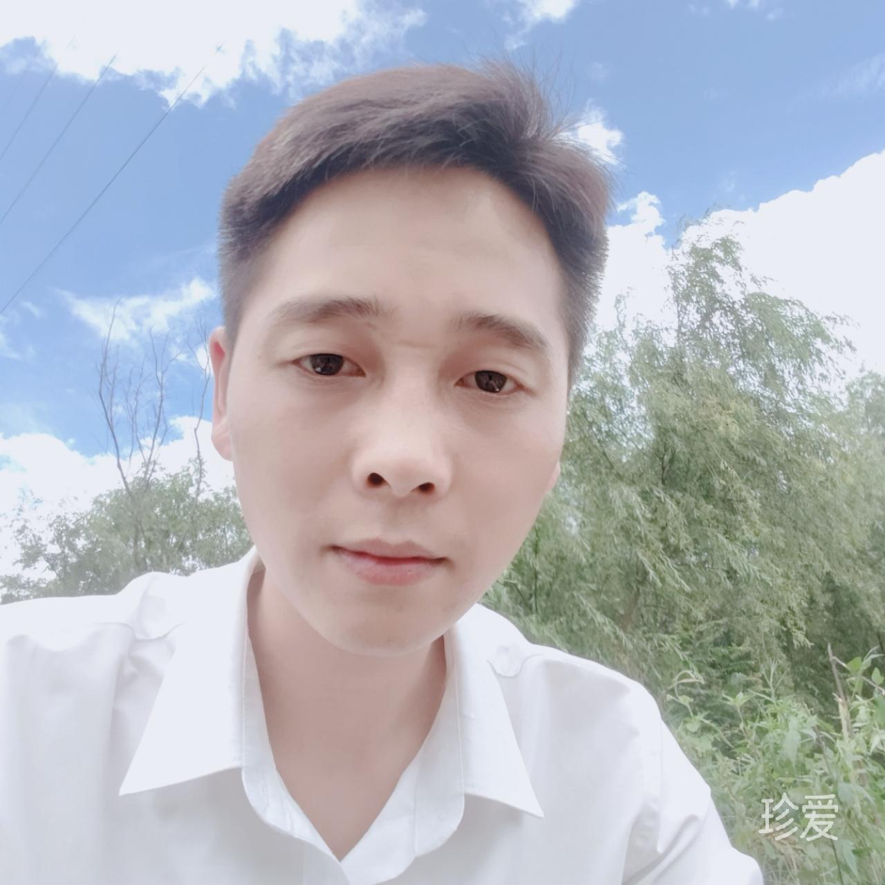 高飞的候鸟